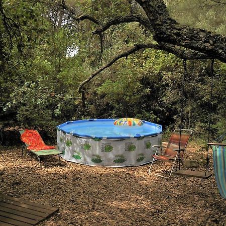 La Cabana Del Alcornoque コルドバ エクステリア 写真